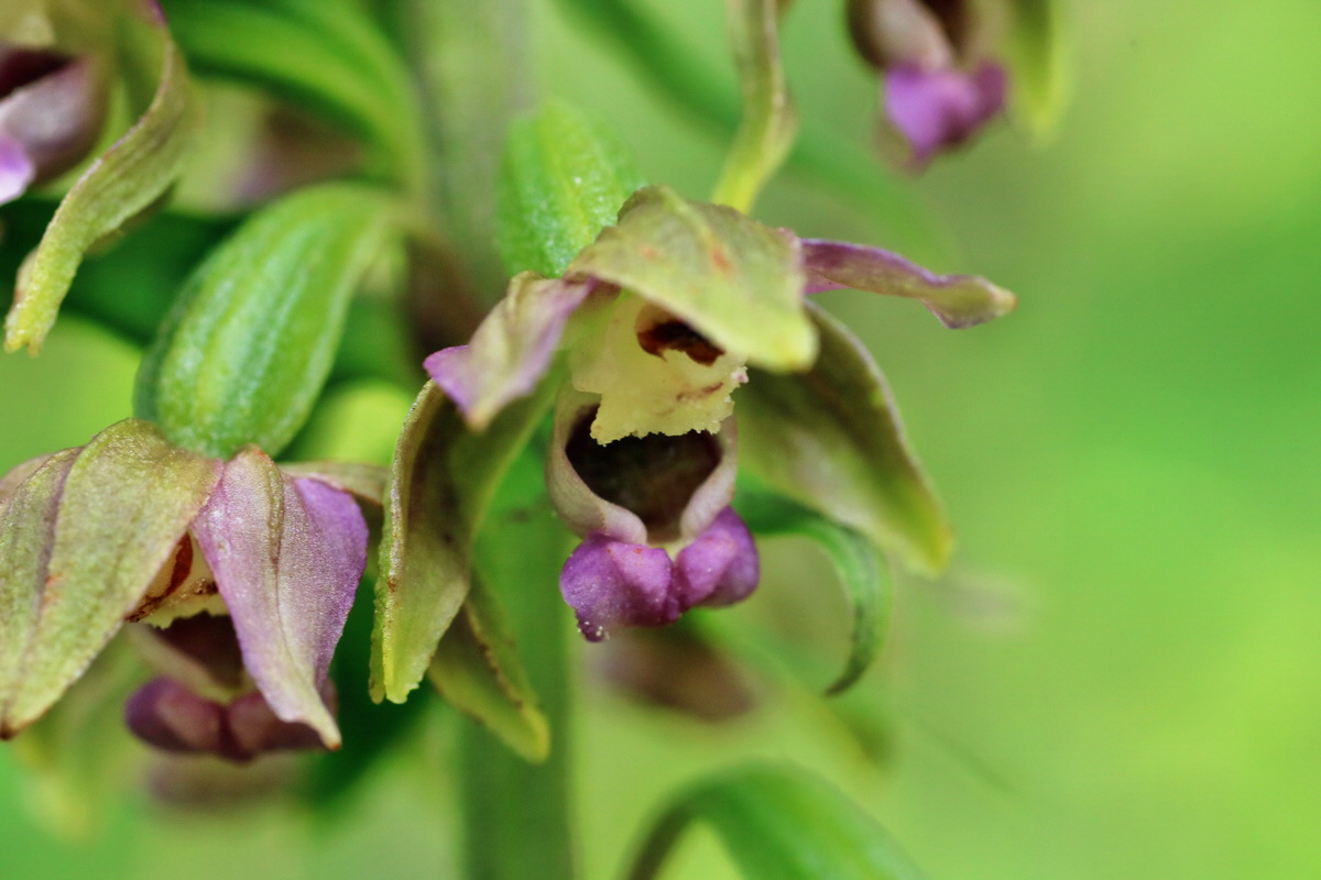 IMG-2015-07-22-00006870p_Bildgr��e �ndern