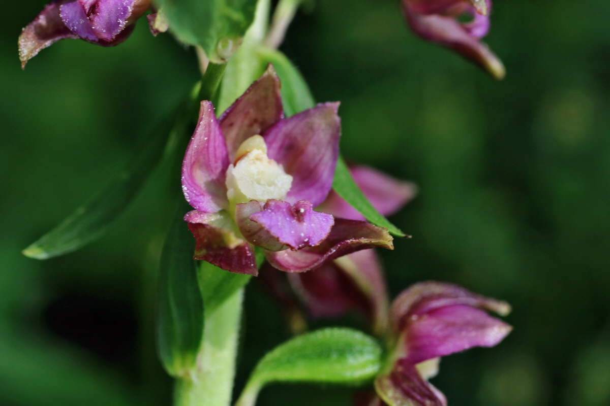 IMG-2015-07-22-00006872p_Bildgr��e �ndern