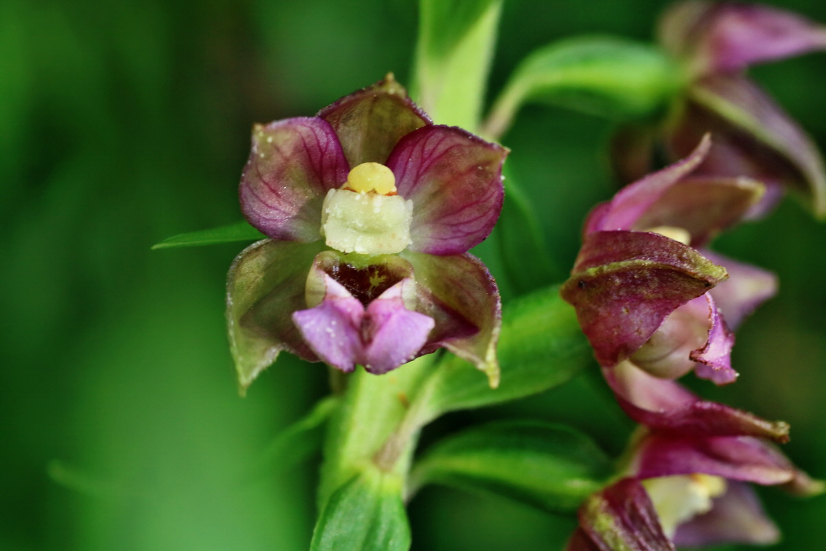 IMG-2015-07-22-00006874p_Bildgr��e �ndern