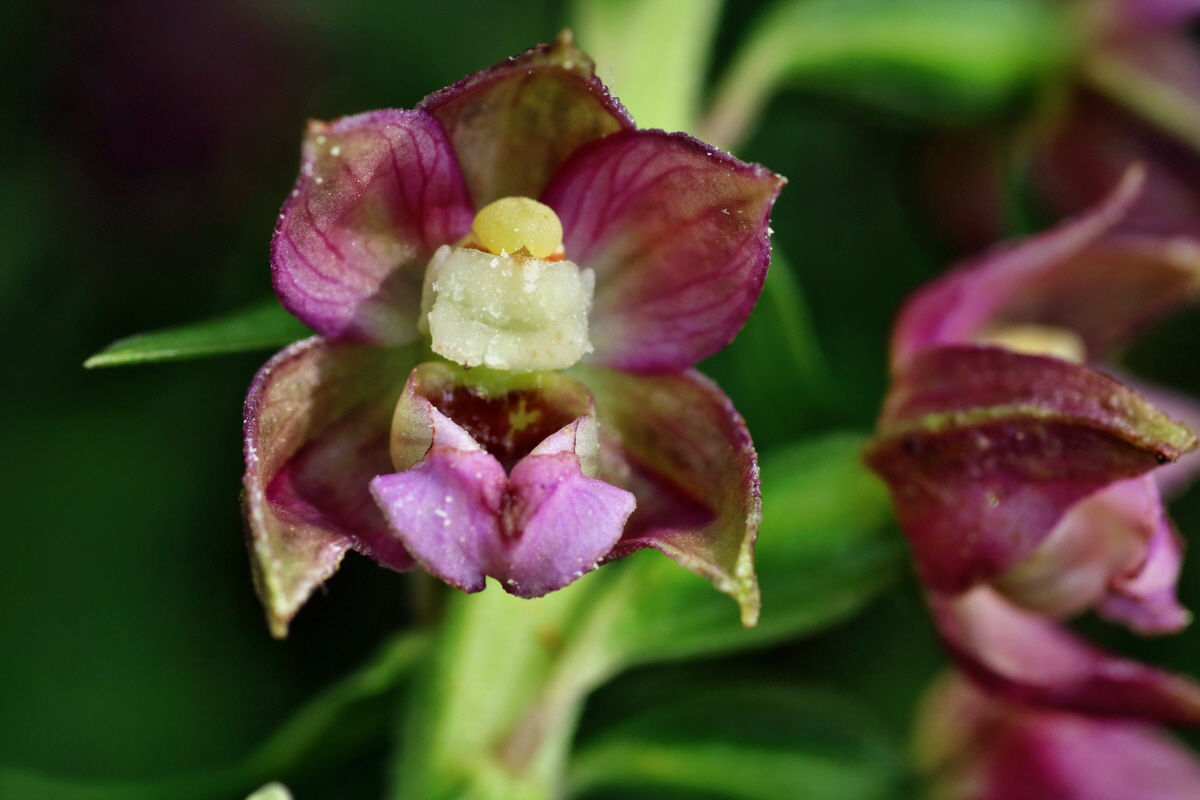 IMG-2015-07-22-00006879p_Bildgr��e �ndern