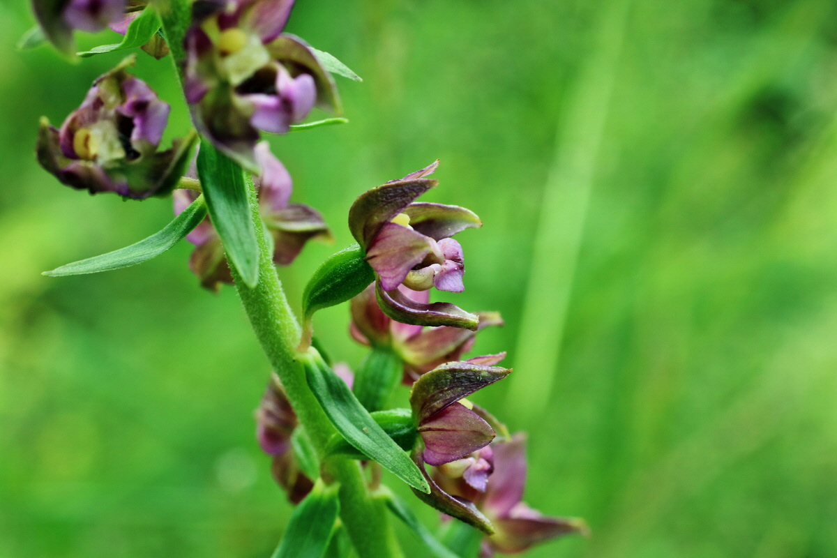 IMG-2015-07-22-00006885p_Bildgr��e �ndern