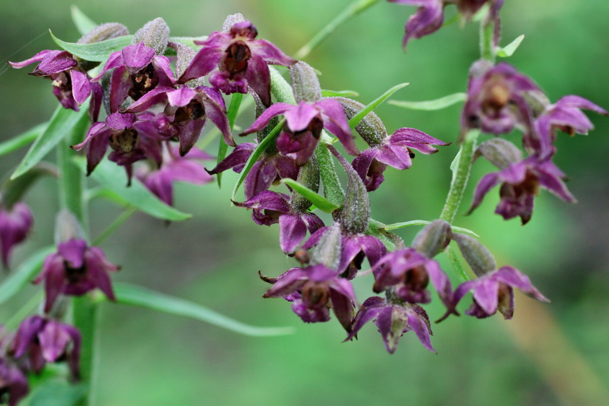 IMG-2015-07-22-00006899p_Bildgr��e �ndern