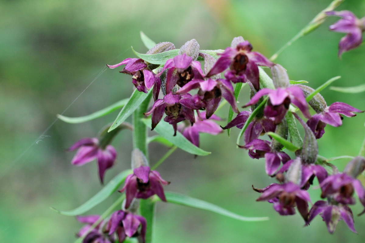 IMG-2015-07-22-00006901p_Bildgr��e �ndern