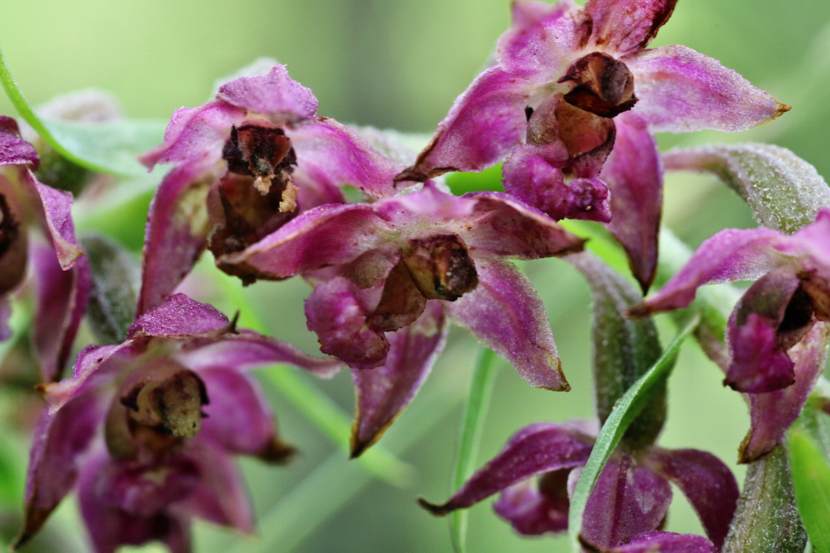 IMG-2015-07-22-00006904p_Bildgr��e �ndern