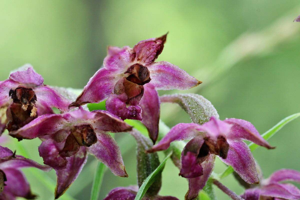 IMG-2015-07-22-00006906p_Bildgr��e �ndern