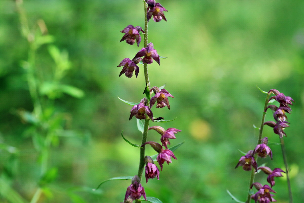 IMG-2015-07-22-00006911p_Bildgr��e �ndern