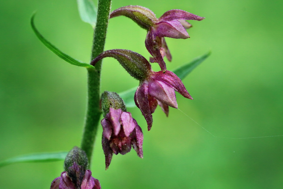 IMG-2015-07-22-00006913p_Bildgr��e �ndern