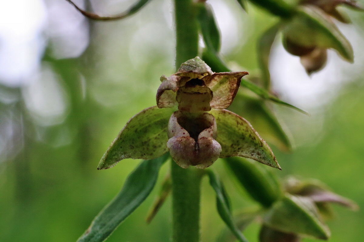 IMG-2015-07-24-00006916p_Bildgr��e �ndern