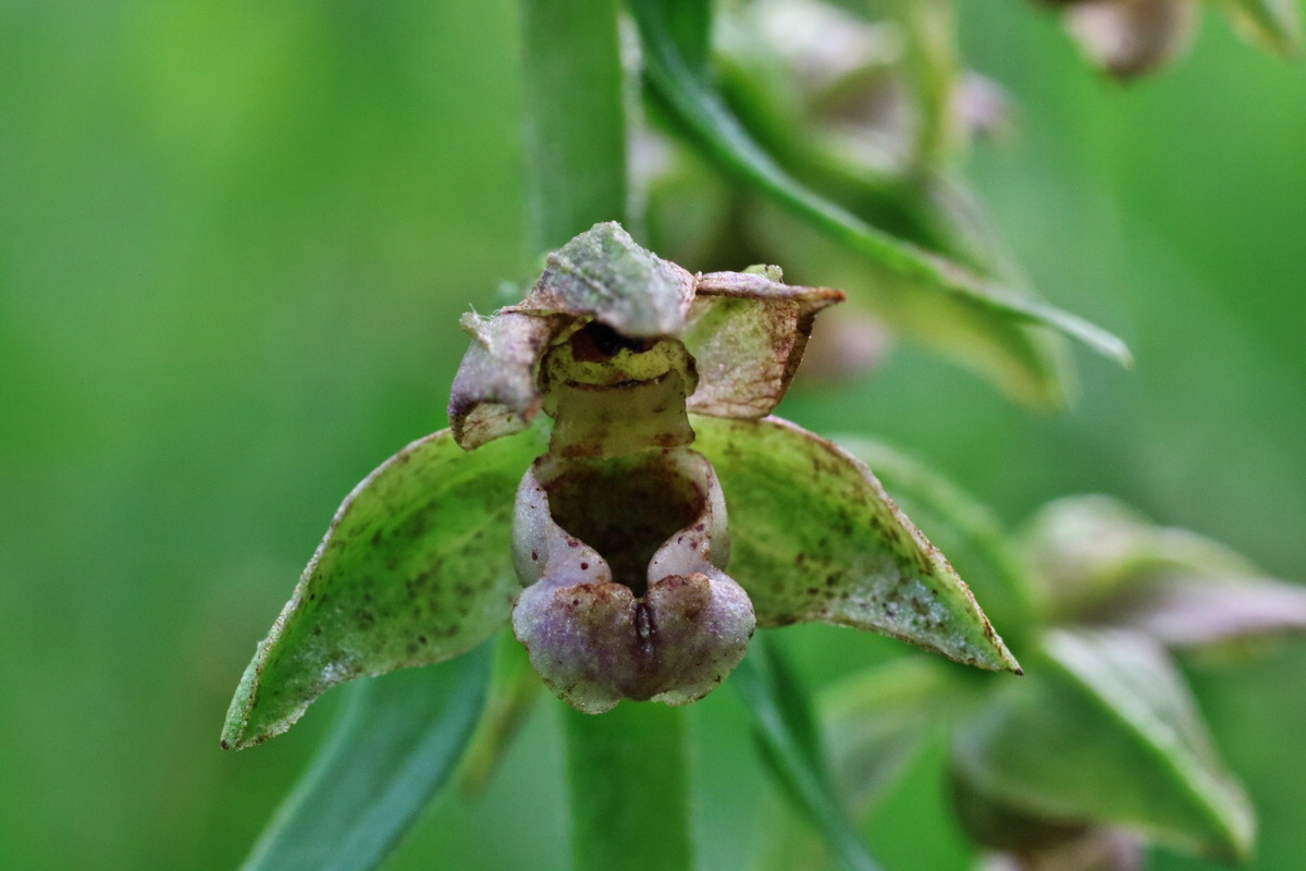 IMG-2015-07-24-00006922p_Bildgr��e �ndern