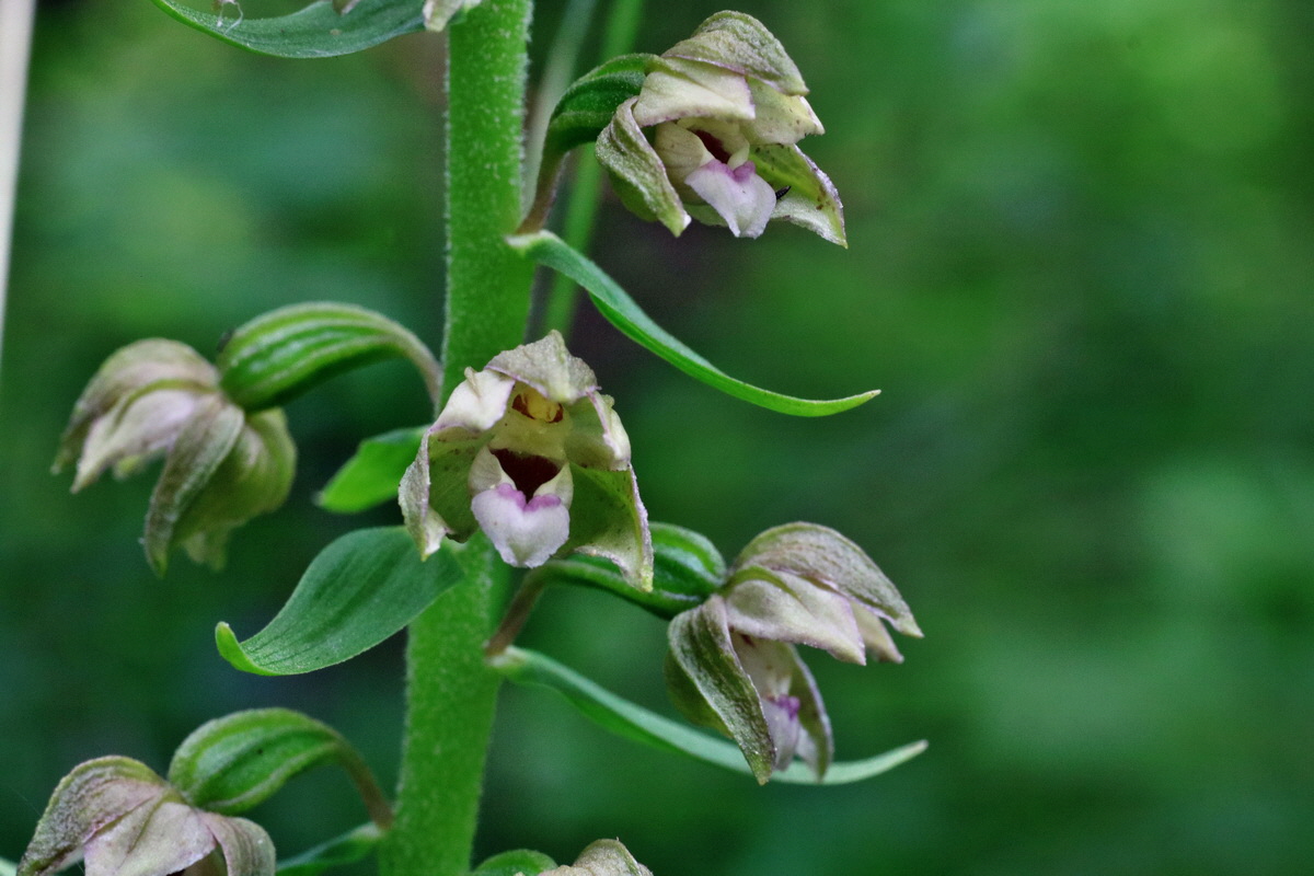 IMG-2015-07-24-00006927p_Bildgr��e �ndern