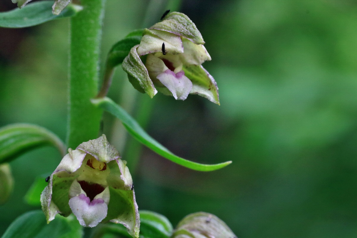 IMG-2015-07-24-00006933p_Bildgr��e �ndern