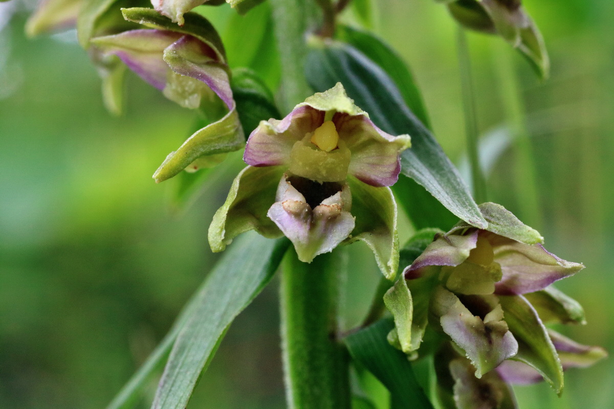 IMG-2015-07-24-00006939p_Bildgr��e �ndern