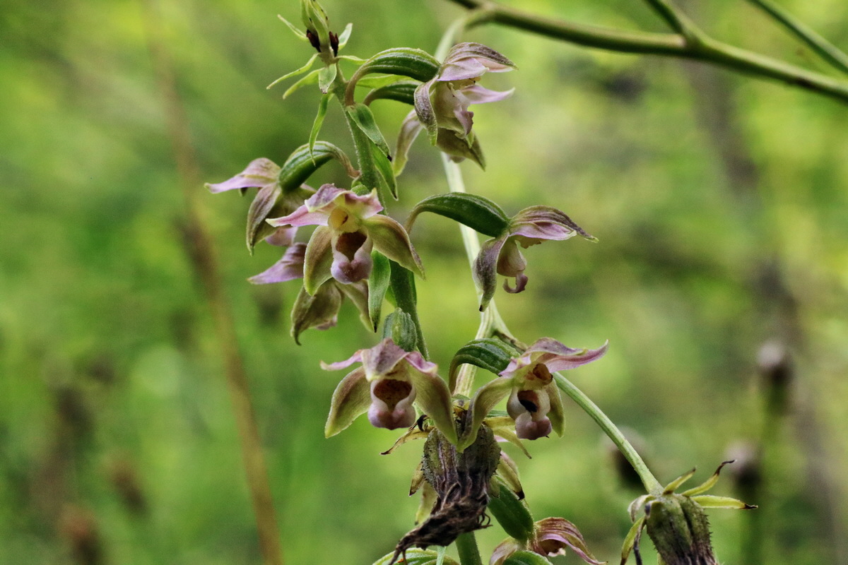 IMG-2015-07-24-00006951p_Bildgr��e �ndern