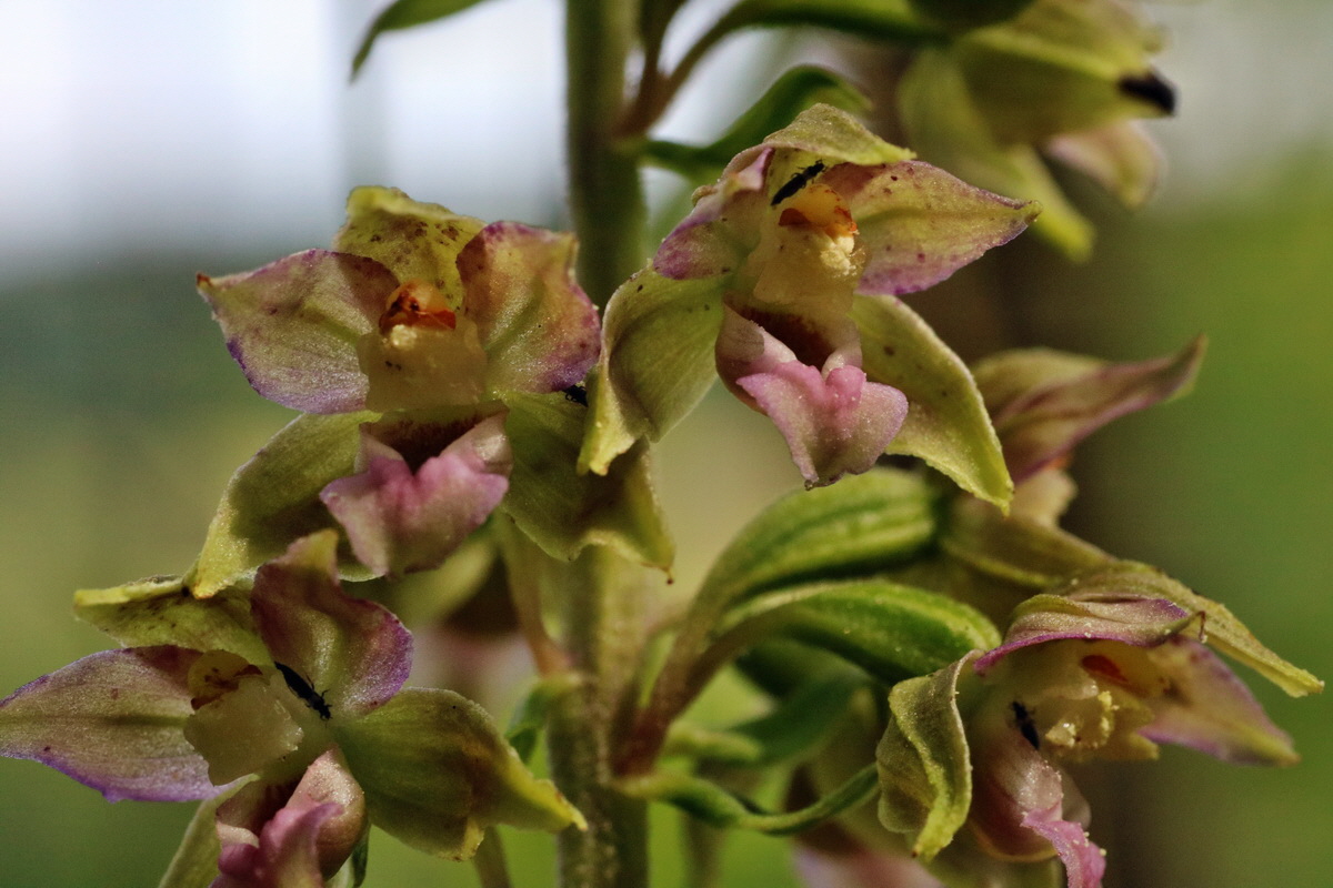 IMG-2015-07-24-00006953p_Bildgr��e �ndern