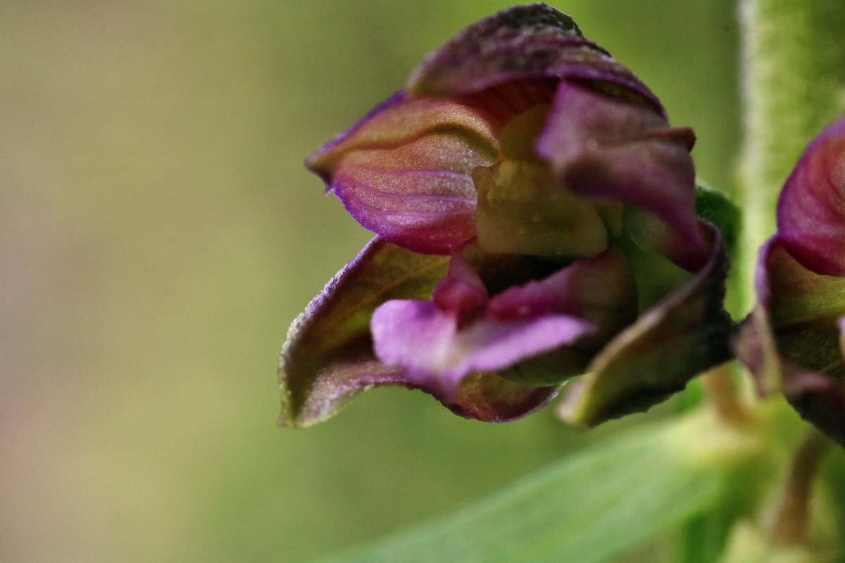 IMG-2015-07-24-00006961p_Bildgr��e �ndern