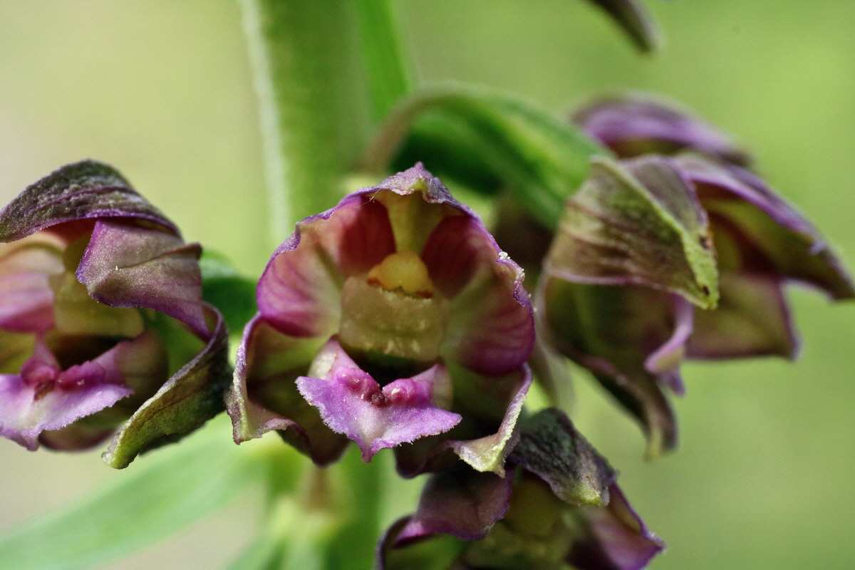 IMG-2015-07-24-00006963p_Bildgr��e �ndern