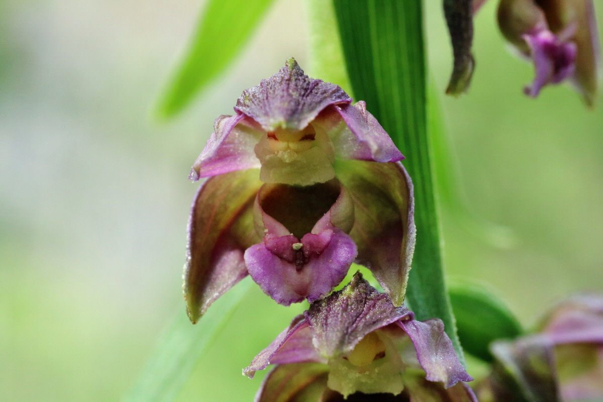 IMG-2015-07-24-00006967p_Bildgr��e �ndern