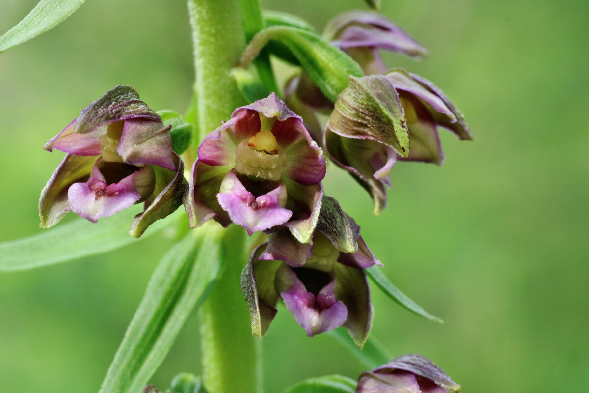 IMG-2015-07-24-00006971p_Bildgr��e �ndern