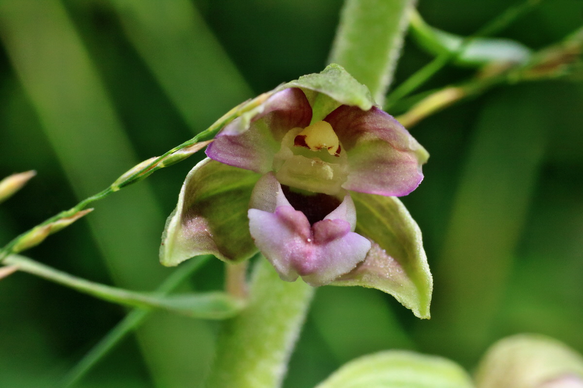 IMG-2015-07-24-00006973p_Bildgr��e �ndern