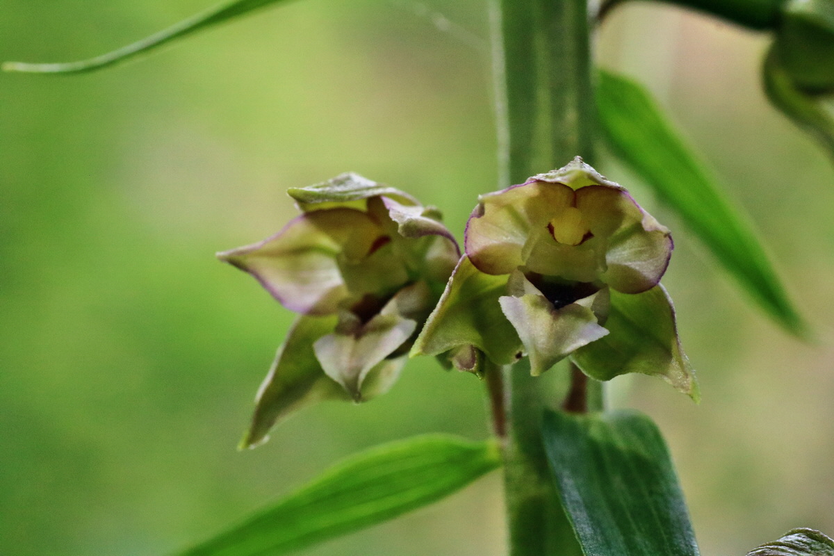 IMG-2015-07-24-00006979p_Bildgr��e �ndern