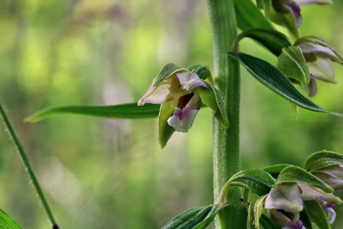 IMG-2015-07-24-00006984p_Bildgr��e �ndern