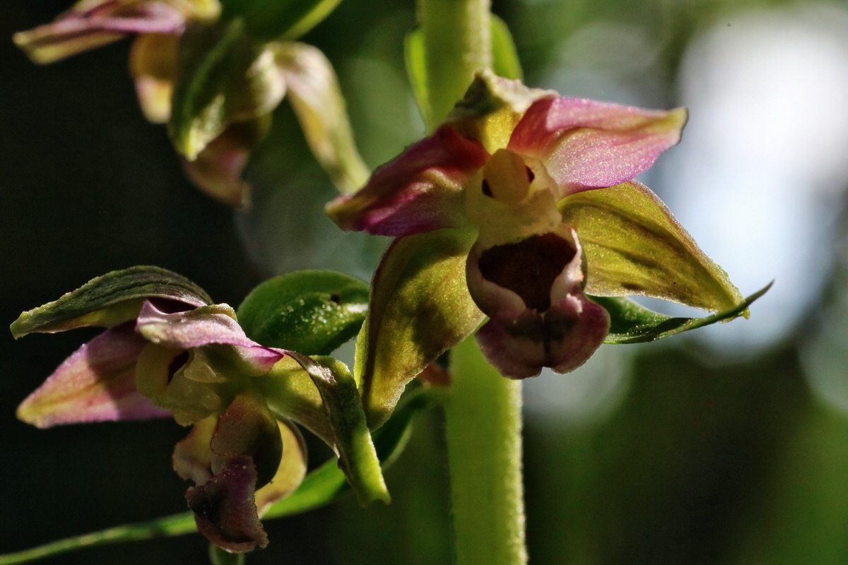 IMG-2015-07-24-00006993p_Bildgr��e �ndern