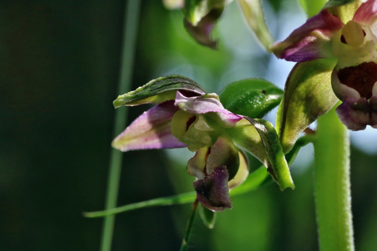 IMG-2015-07-24-00006997p_Bildgr��e �ndern