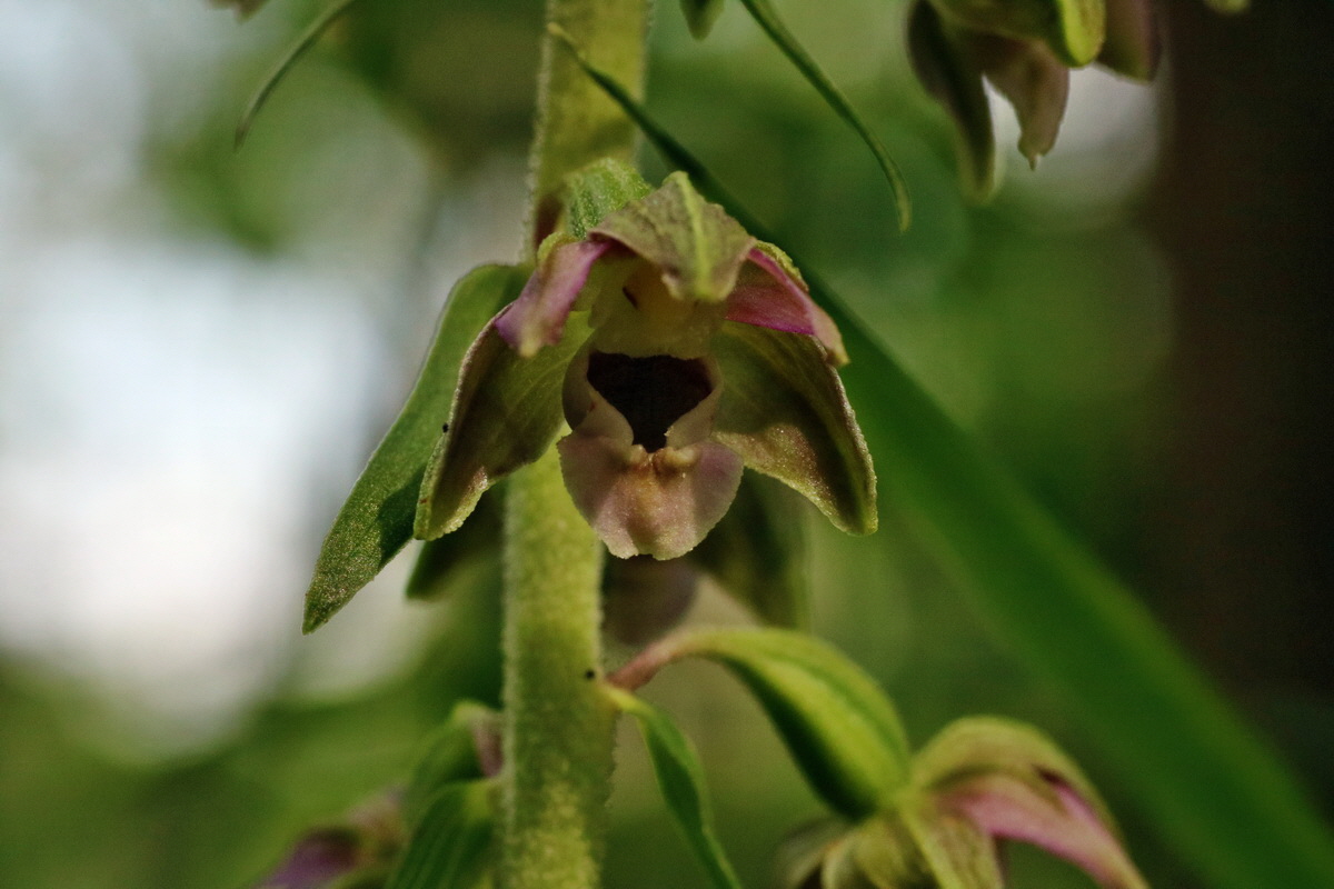 IMG-2015-07-24-00007003p_Bildgr��e �ndern