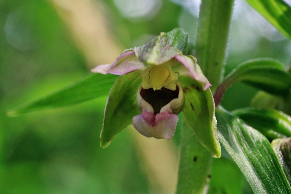 IMG-2015-07-24-00007011p_Bildgr��e �ndern