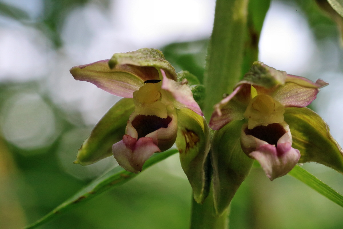 IMG-2015-07-24-00007013p_Bildgr��e �ndern