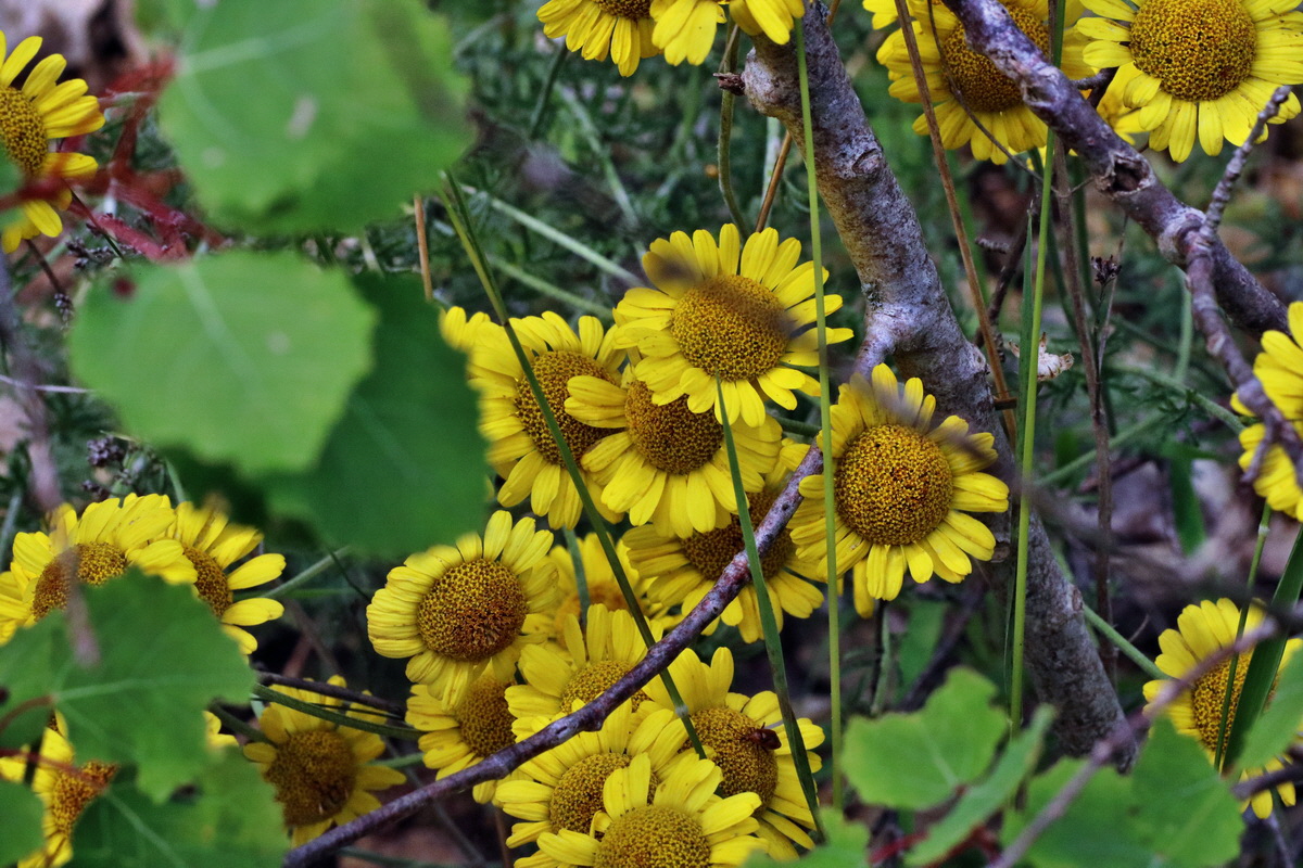 IMG-2015-07-24-00007028p_Bildgr��e �ndern