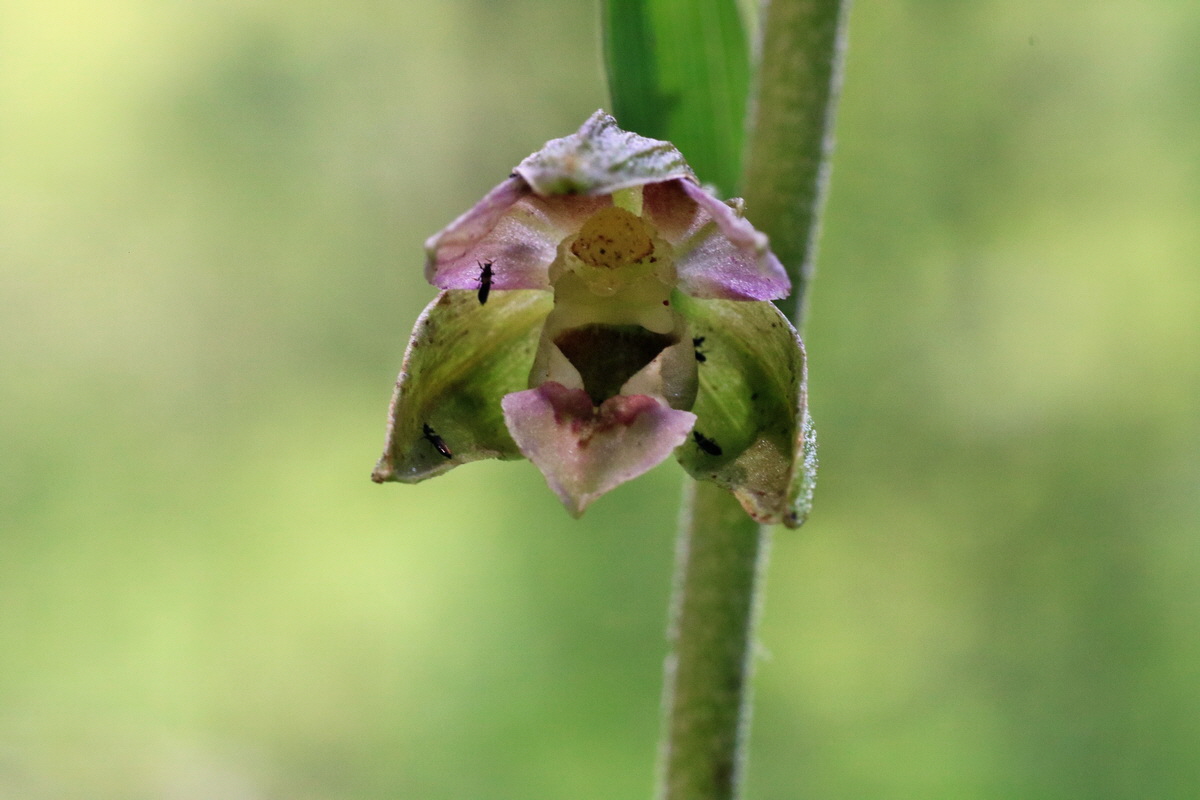 IMG-2015-07-24-00007032p_Bildgr��e �ndern