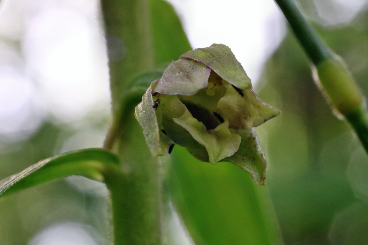 IMG-2015-07-24-00007036p_Bildgr��e �ndern