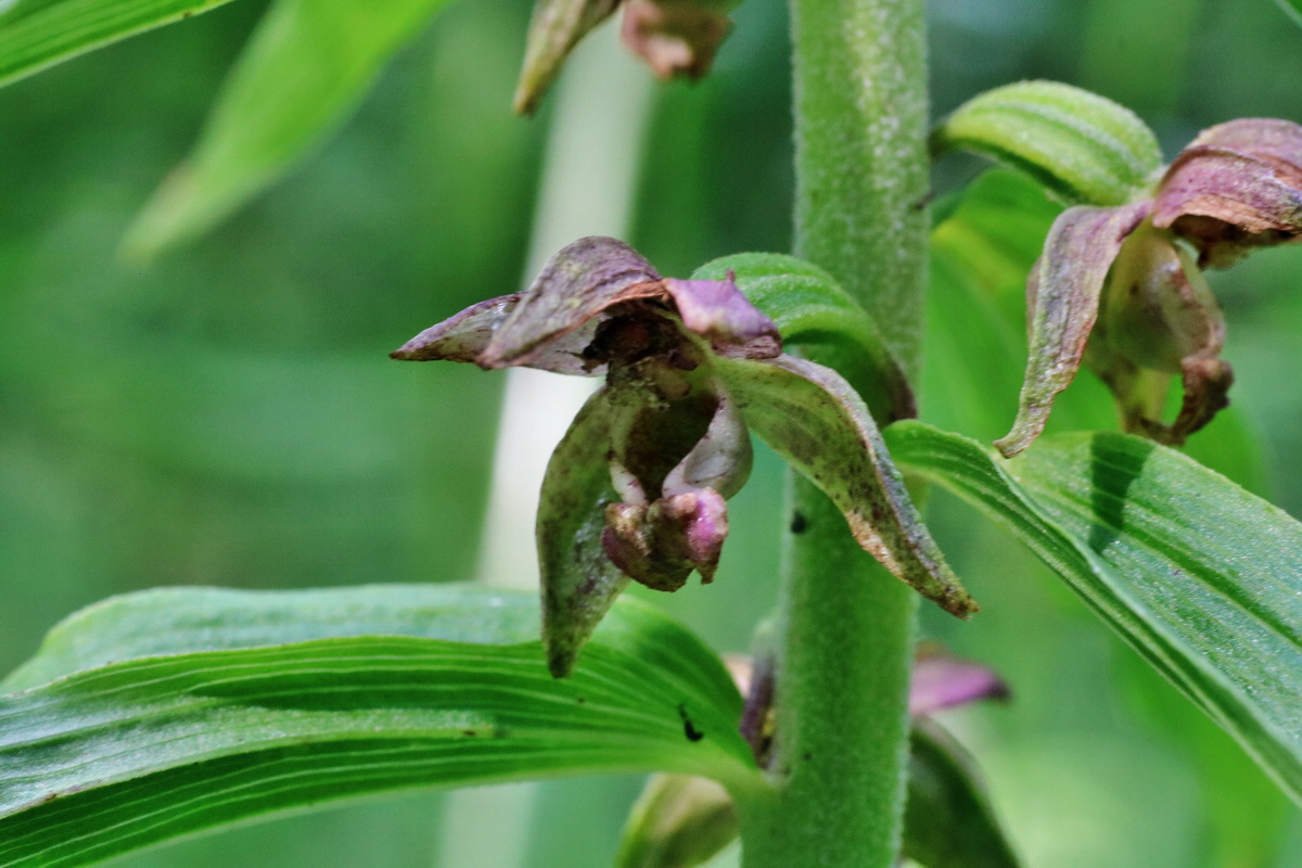 IMG-2015-07-24-00007043p_Bildgr��e �ndern