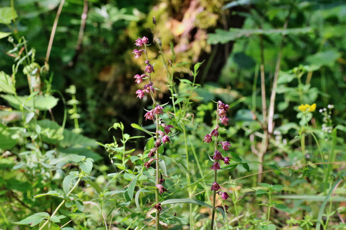 IMG-2015-07-24-00007047p_Bildgr��e �ndern