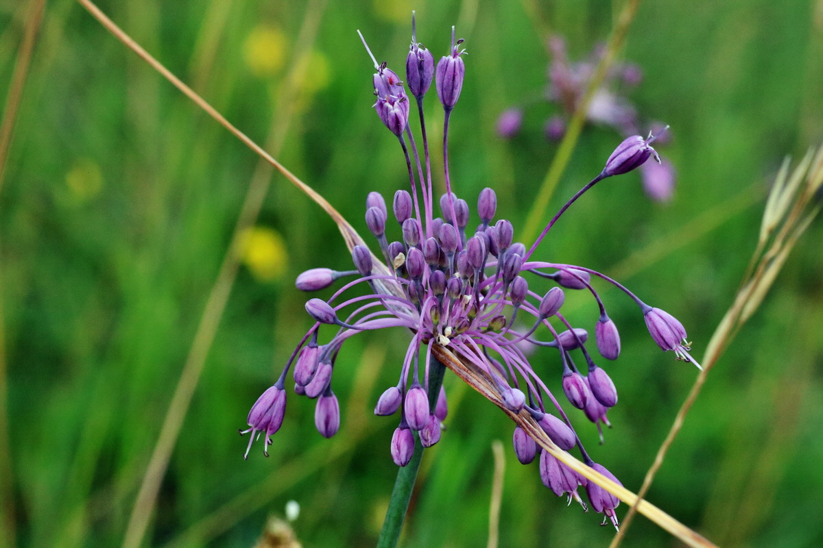 IMG-2015-07-24-00007057p_Bildgr��e �ndern