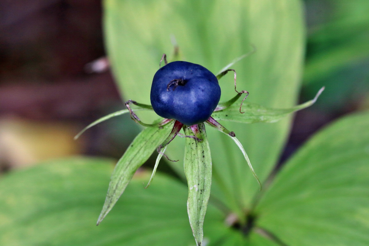 IMG-2015-07-31-00007093p_Bildgr��e �ndern