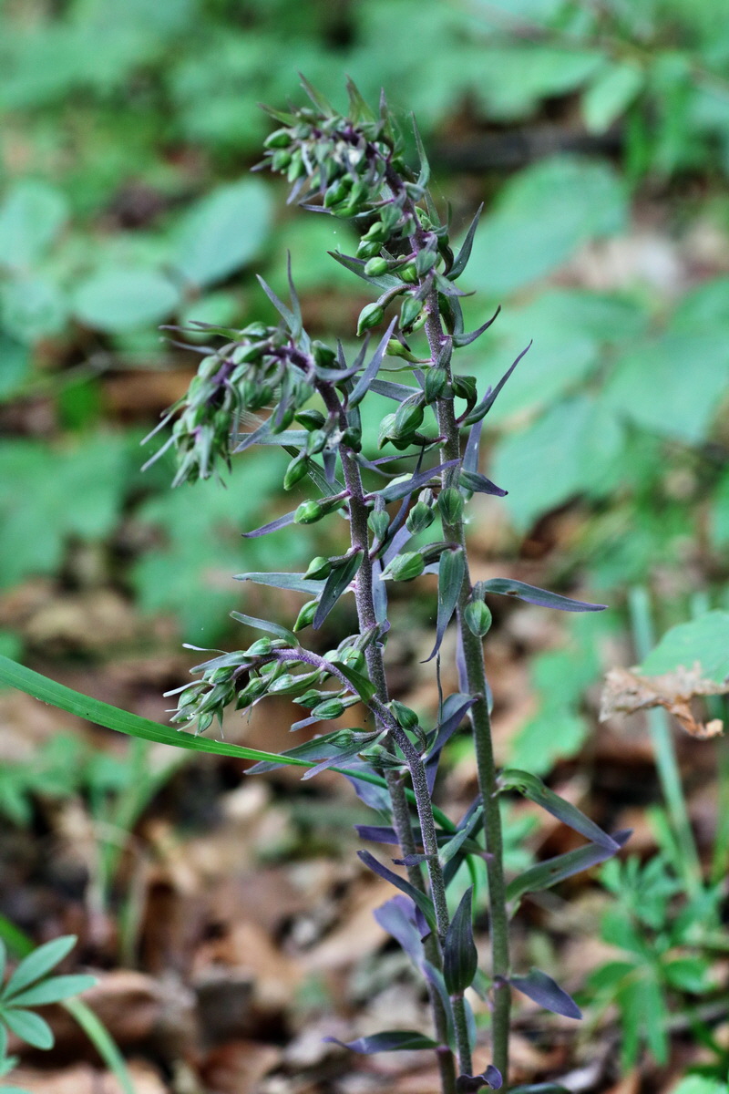 IMG-2015-07-31-00007101p_Bildgr��e �ndern