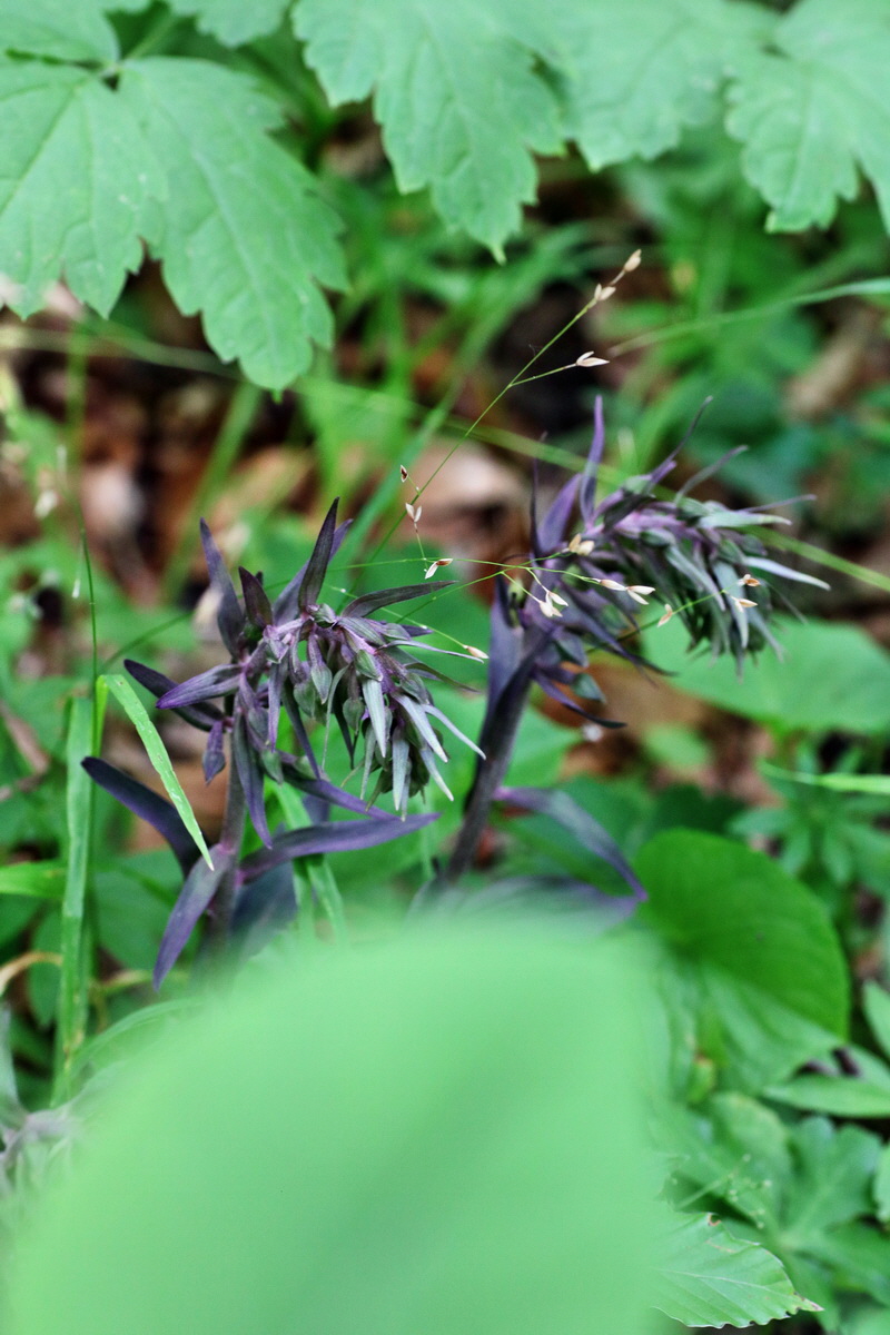 IMG-2015-07-31-00007102p_Bildgr��e �ndern