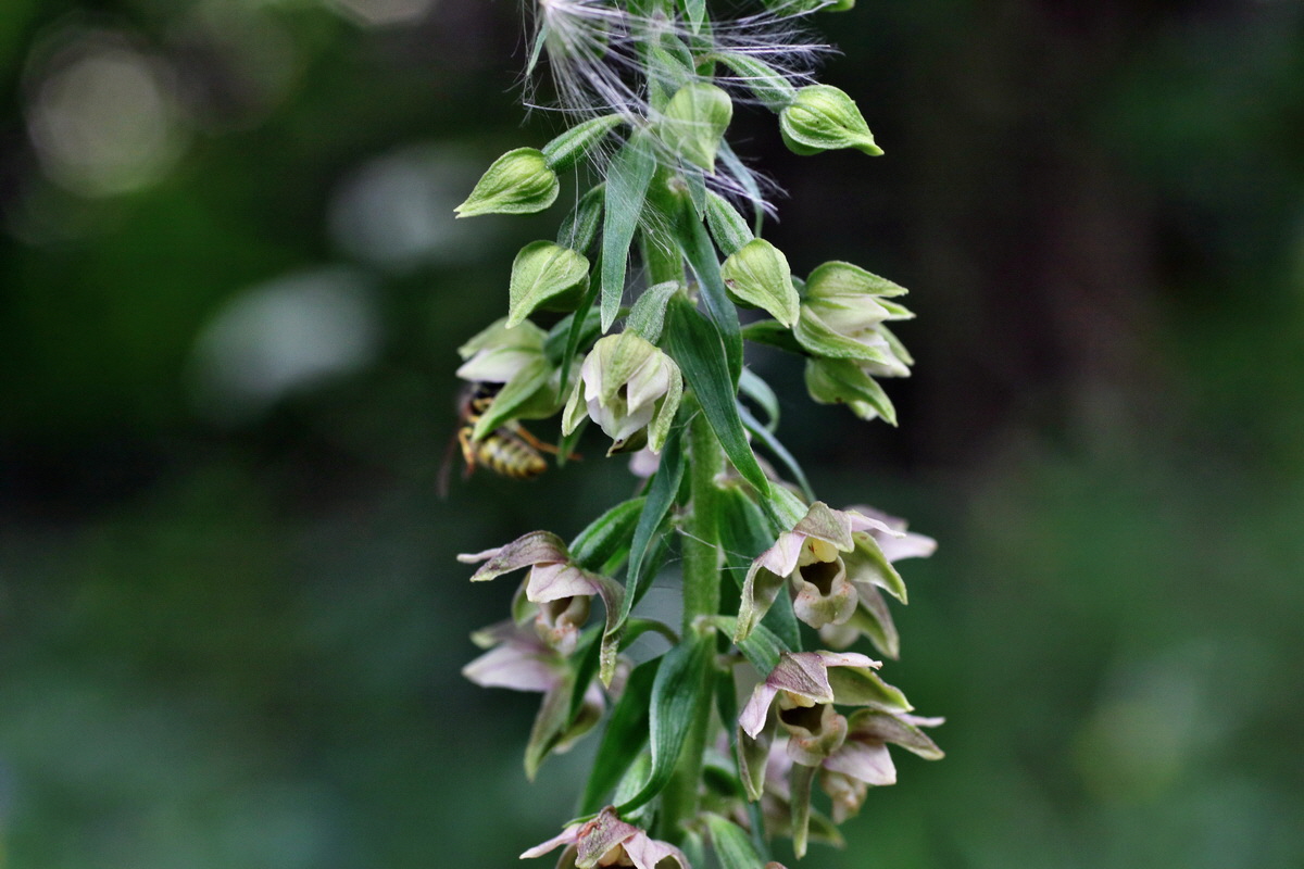 IMG-2015-07-31-00007106p_Bildgr��e �ndern