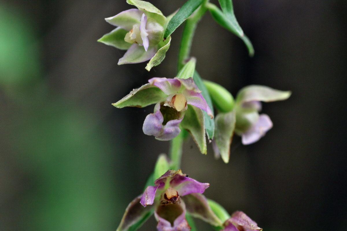 IMG-2015-07-31-00007118p_Bildgr��e �ndern