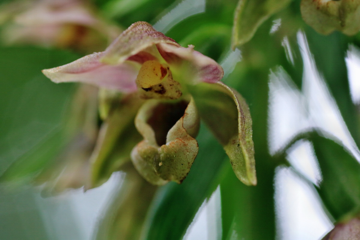 IMG-2015-07-31-00007143p_Bildgr��e �ndern