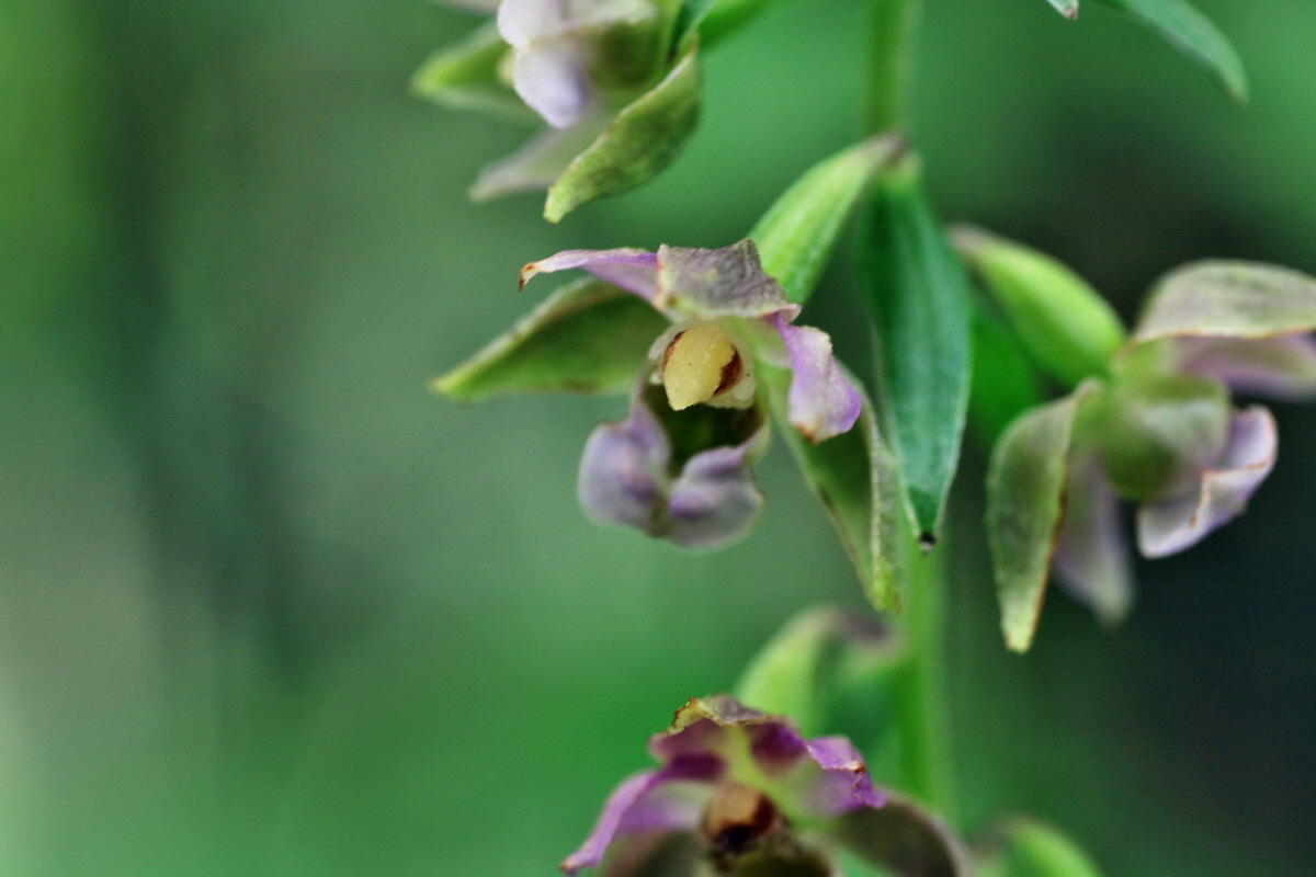 IMG-2015-07-31-00007155p_Bildgr��e �ndern