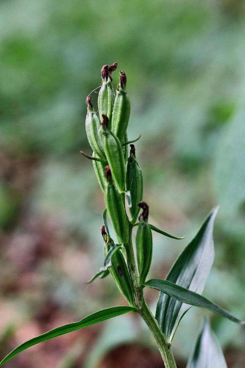 IMG-2015-07-31-00007157p_Bildgr��e �ndern