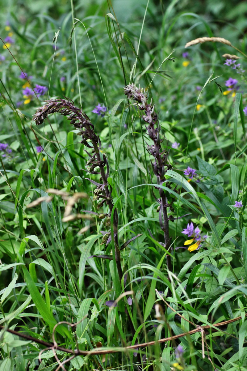 IMG-2015-07-31-00007161p_Bildgr��e �ndern