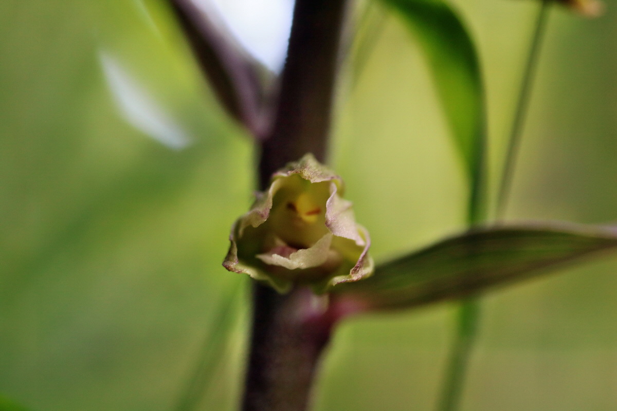 IMG-2015-07-31-00007165p_Bildgr��e �ndern