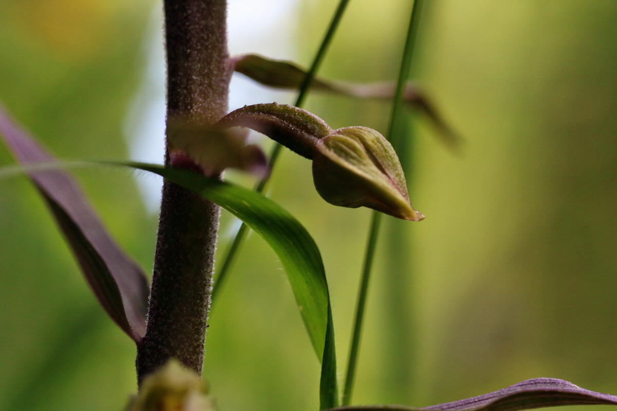 IMG-2015-07-31-00007169p_Bildgr��e �ndern