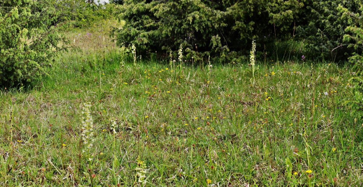 [Group 7]-IMG-2015-06-01-00005393_IMG-2015-06-01-00005411-10mini