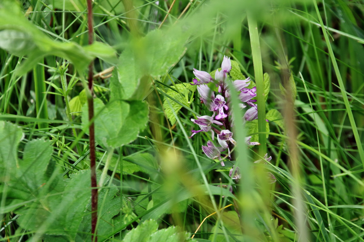 IMG-2015-06-01-00005203p_Bildgr��e �ndern