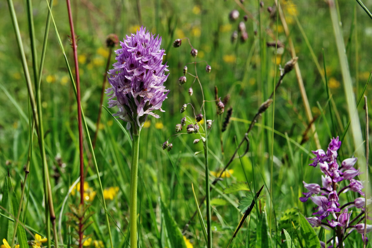 IMG-2015-06-01-00005220p_Bildgr��e �ndern